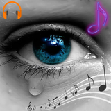 com.hexionic.cryingsoundsringtones