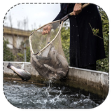 Asol.parvarash.mahian