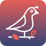 org.kirbit.bildilcin