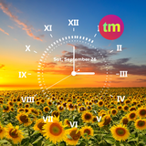 com.topmobileringtones.flowerclocklivewallpaper