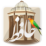 ir.root.hafez