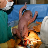 ir.ceasarean.jarrahi