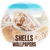 com.easy_wallpapers.shell