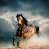 revenge.livewp.horse