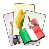com.arsnetworks.flashcards.italian