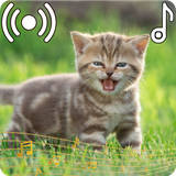 com.appsocean.catsounds