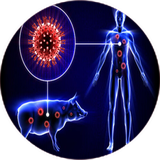 com.khorshid_tx.anfolanzakhoki