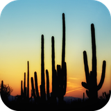 com.leafgreen.cactus