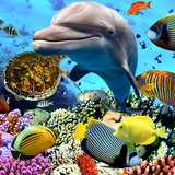 mobi.infolife.ezweather.livewallpaper.acquarium3D