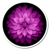 com.ariasoft2020.wiphone6