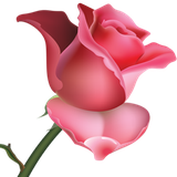 com.FlowersLive.Wallpapers