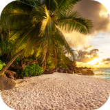 com.backgrounds.and.wallpapers.free.beach