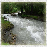 com.pishtaz.abshenas