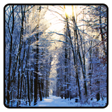 com.chiralcode.wallpaper.winter