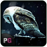 com.persiagraph.livewallpaper.winterowl
