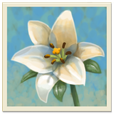 com.dustflake.innergarden