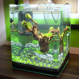 com.desainaquariumunik.rigall