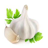 com.topdata.garlic