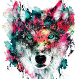 com.iriri.wolfwallpaper