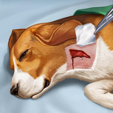 com.spilgames.operatenow.animal.hospital