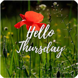 com.AppsHappyForYou.HappyThursday