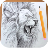 com.sketchdrawstudioz.howtodrawlion