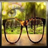 sekandari.app.zaeificheshm