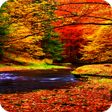 com.nicehdapps.autumn.wallpaper.HD.background