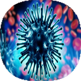 com.mnz_t.anfolanzakhoki