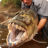 buy.orkide.scaryanimals