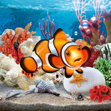 com.blackbirdwallpapers.aquarium3dlivewallpaperfree