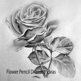 com.FlowerPencilDrawingIdeas.daeng