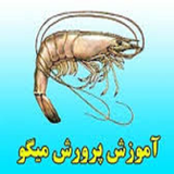 ir.parvaresh.mahe.va.mego.d