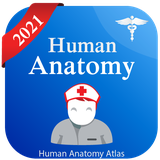 com.humananatomy.anatomyposition