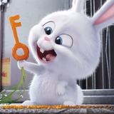 app.wallpaper.bunny
