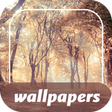 com.epic_free_apps.tree_on_the_screen