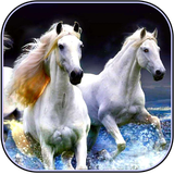 com.khamarnache.horsewallpaper.offline