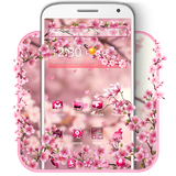 com.cute.pink.cherry.blossom.theme