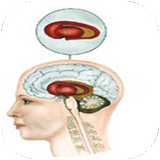 folad.bimarihayeasabi