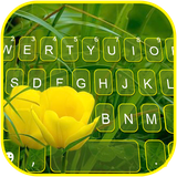 com.ikeyboard.theme.summer.tulips