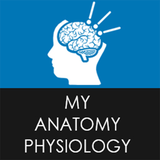 map.myanatomyphysiology