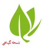 zeynab.darooyi