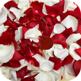 com.alx.rosepetalslwp