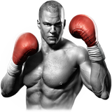 com.bluegames.boxer