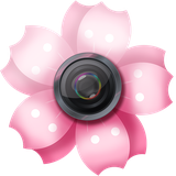 com.LovelySakuraPictureFrames
