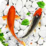 com.koifishlivewallpaper.fishwallpaper.koipond.livefishwallpaper