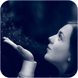 ghahreman.falsafedusti