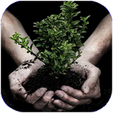 su.raveshhaykashtgiyahan