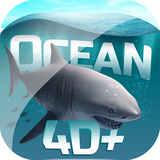 com.Octagon.Ocean4D