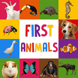 com.androbaby.firstanimalsforbaby